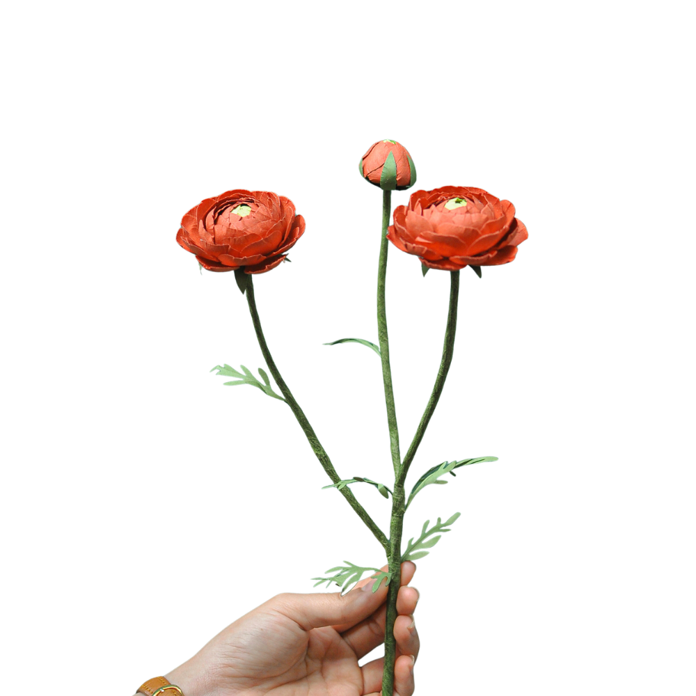 Mao Lương 3 nhánh