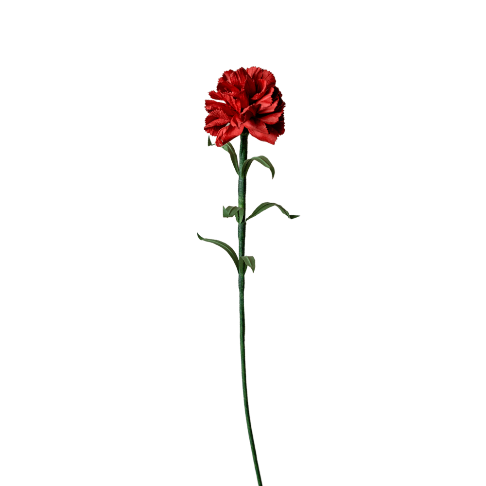 Cẩm Chướng