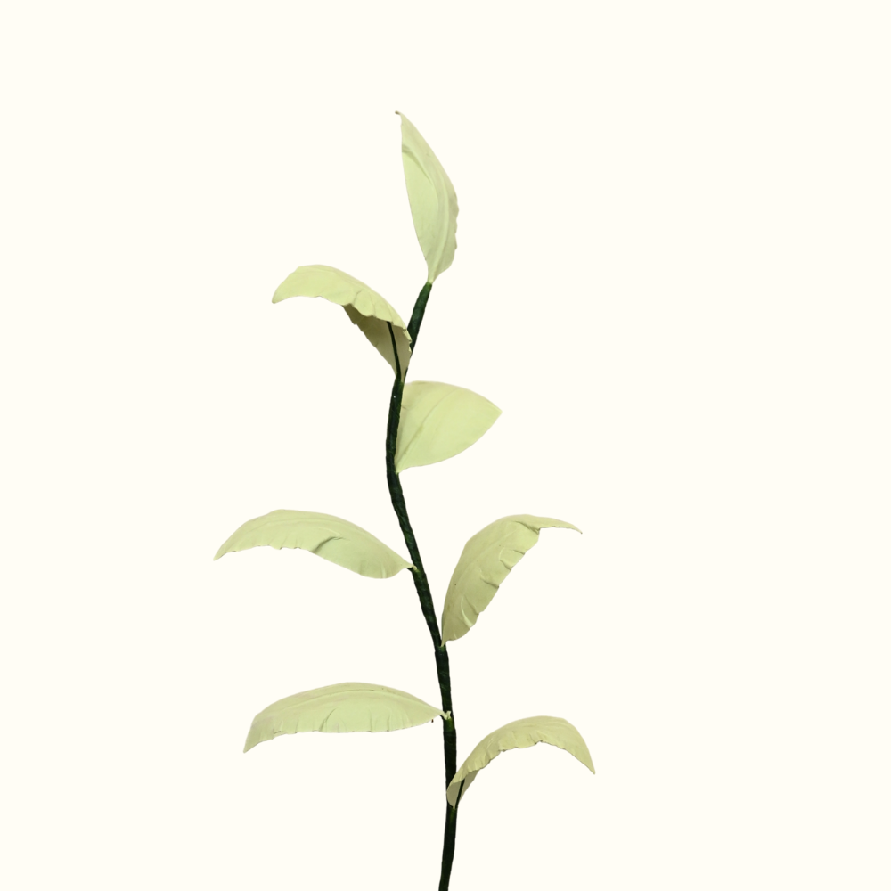 Lá Điểm Xanh