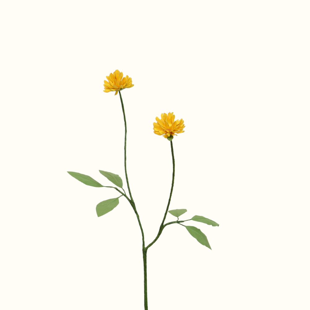 Clover