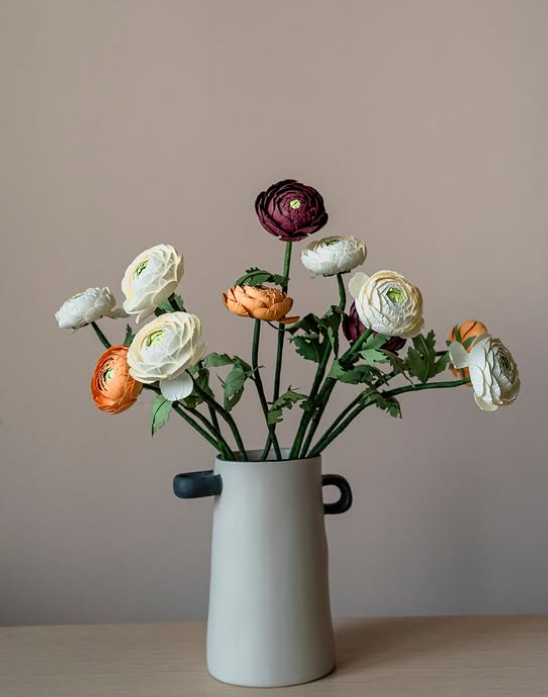Ranunculus 